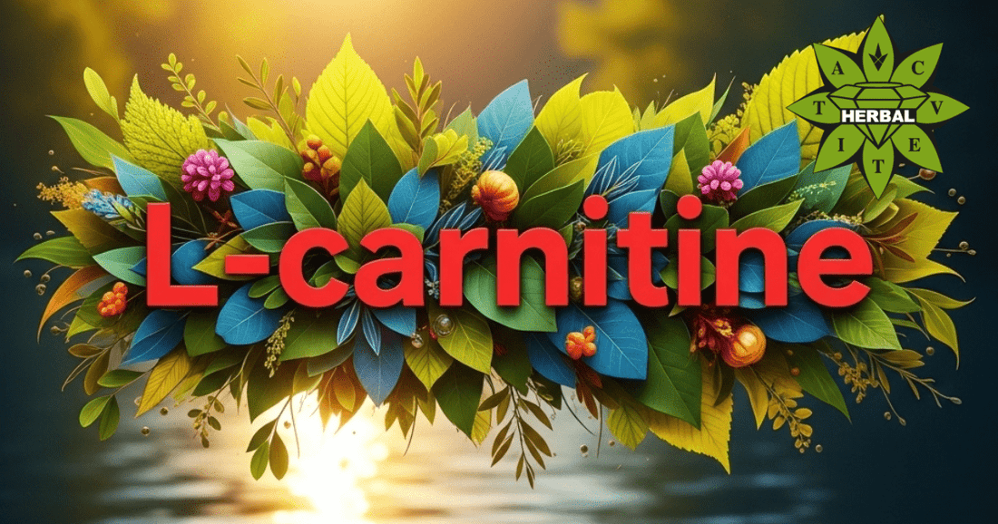 L-carnitina - Beneficii și Proprietăți Terapeutice
