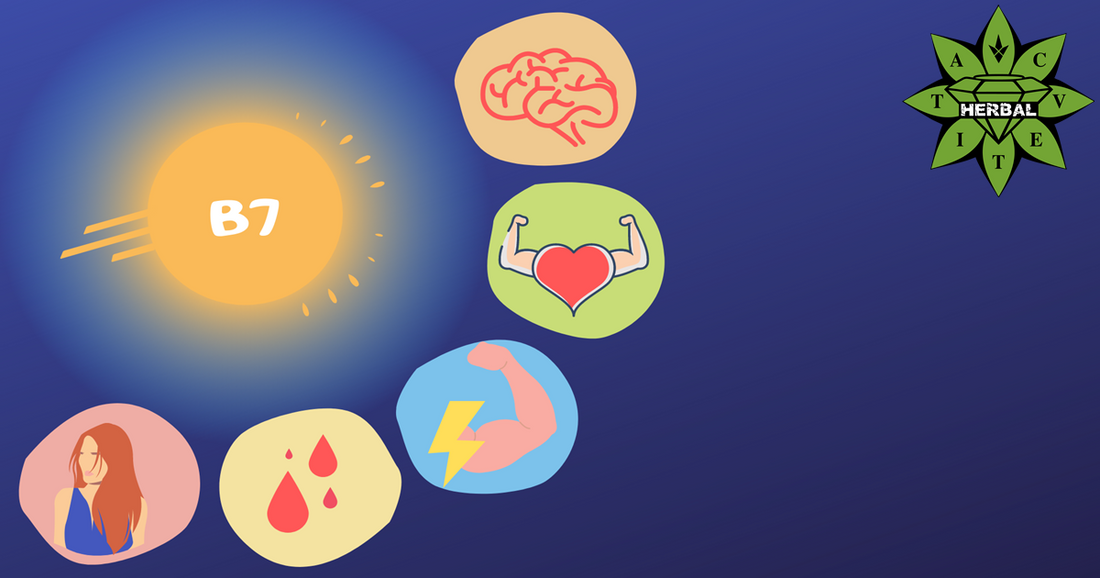 Vitamina B7 (Biotină)