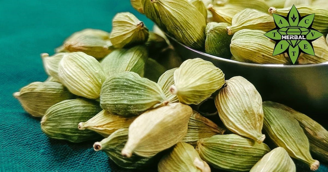 Cardamom (Regina Condimentelor, Cardamom) - Beneficii și Proprietăți Terapeutice
