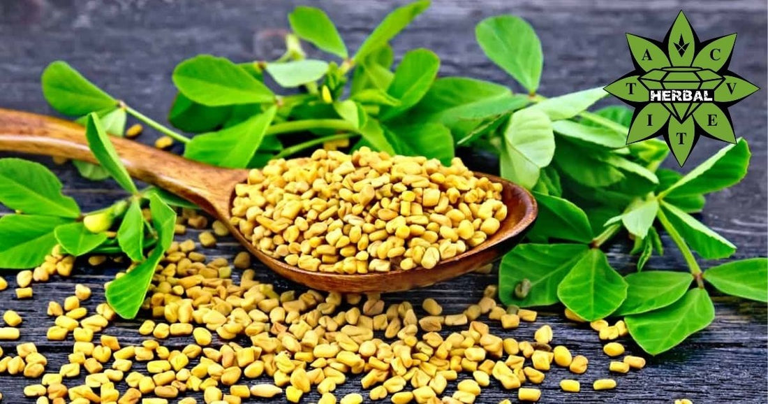 Schinduf (Trigonella Foenum-Graecum) - Beneficiile Semințelor și Ceaiului