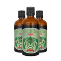 Extract Ginkgo Biloba – Ginkgo Biloba Max (100 ml) (3)