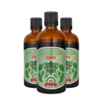 Extract Ginkgo Biloba – Ginkgo Biloba Max (100 ml) (3)